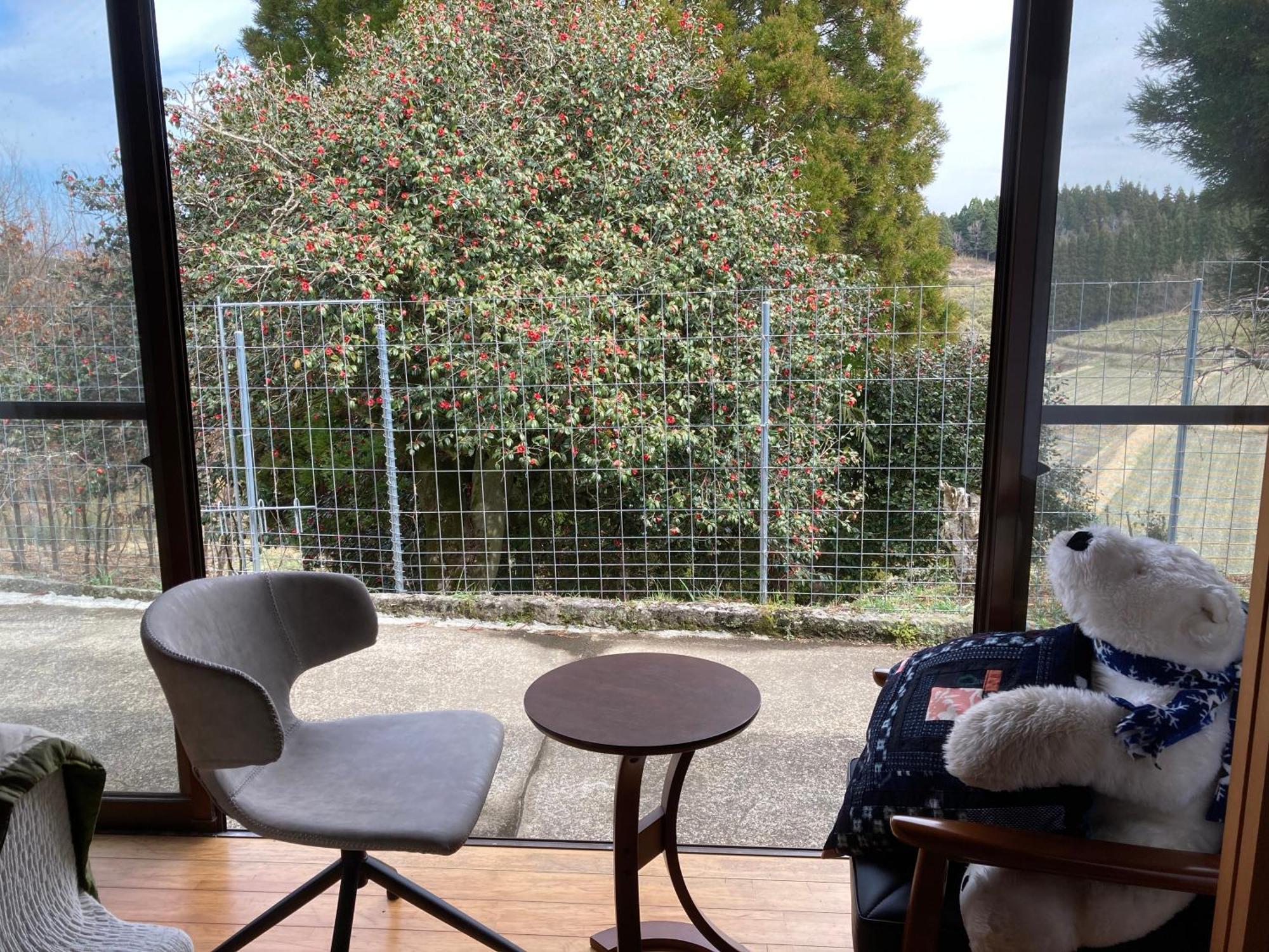 体験型農家民泊「お陽さまと風」 Leilighet Bungoono Eksteriør bilde